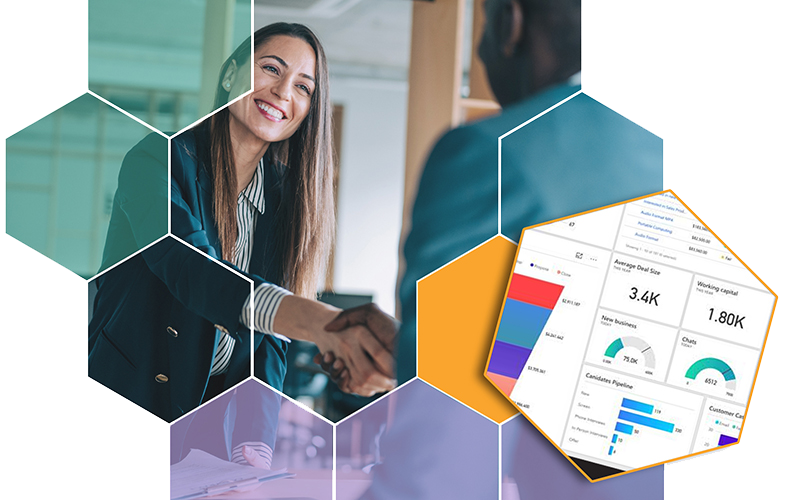 Microsoft Dynamics 365 Business Customer Satisfaction Data