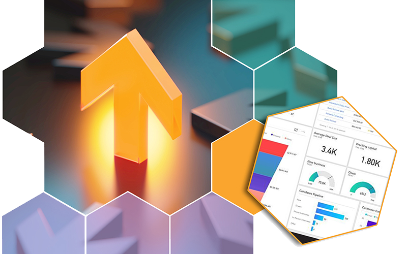 Microsoft Dynamics 365 Business Customer Satisfaction and Retention