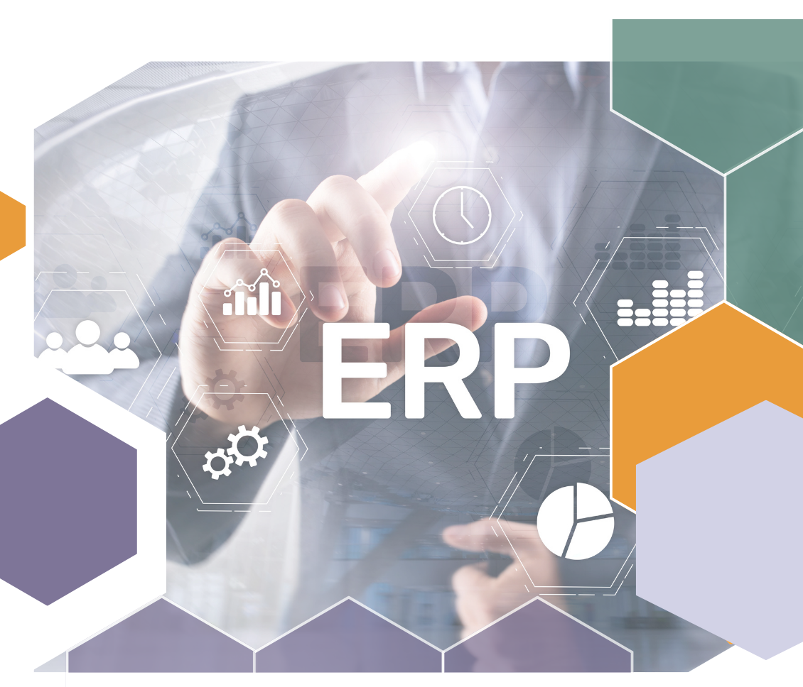 ERP Integrated eCommerce