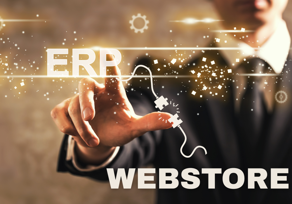 ERP Integrated eCommerce