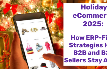 Holiday eCommerce 2025 How ERP-First Strategies Help B2B and B2C Sellers Stay Ahead